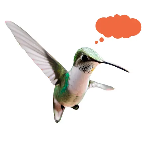 Le Colibri et la communication interne d'entreprise