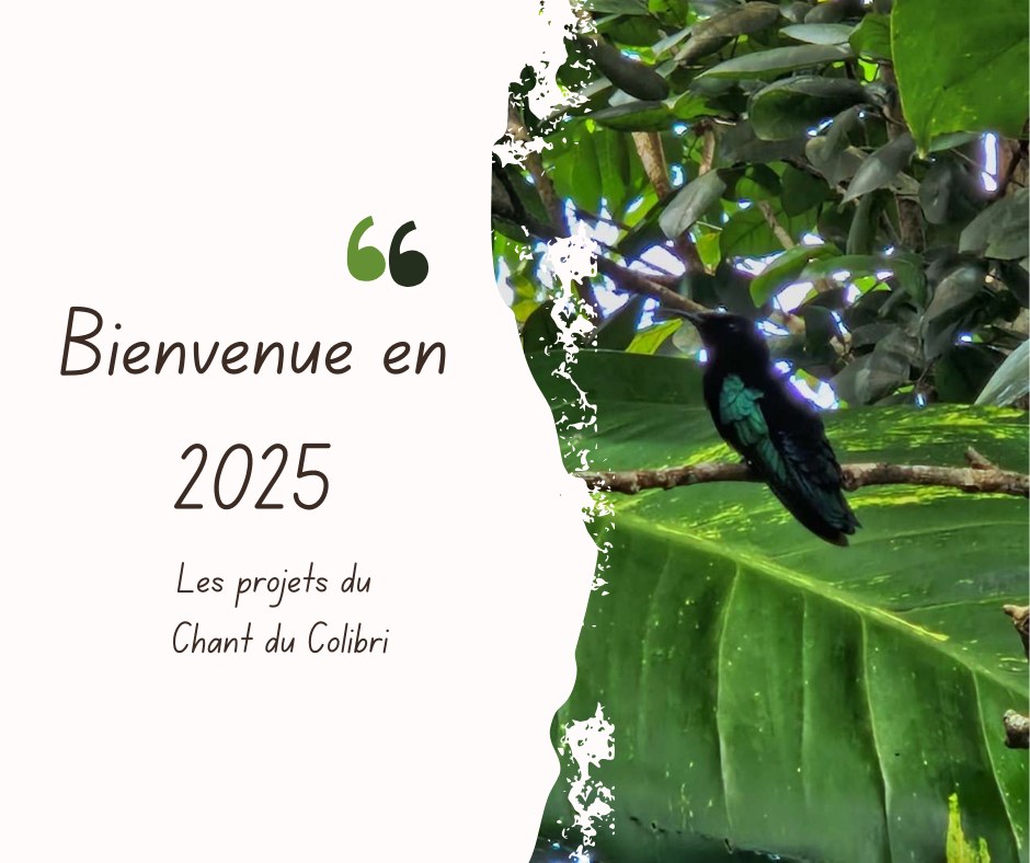 Bienvenue en 2025