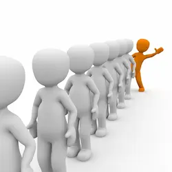 Une solide expérience Une solide expérience