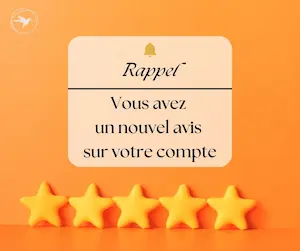 Les avis clients - Réseaux sociaux et tourisme Comment gérer les avis clients ? Réseaux sociaux et tourisme