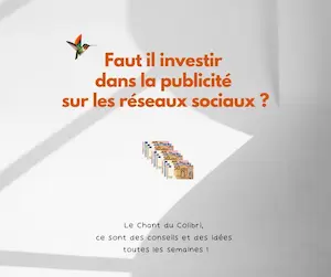 pub reseaux sociaux Investir dans la publicité sur les réseaux sociaux, bonne ou mauvaise idée ?