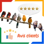 Avis clients