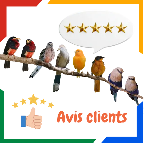Avis clients