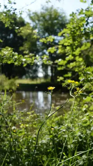 plus de visibilité pour mon gite