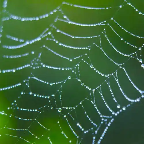 Tisser votre toile de communication